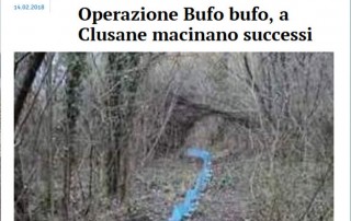 20180214-Bresciaoggi-CostaVerdeNatura-OperazioneBufoBufo